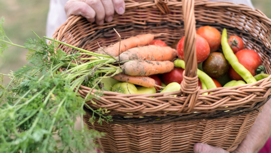 Norges Bygdekvinnelag vil ha eit mangfald av gode norske varer i butikkane. 