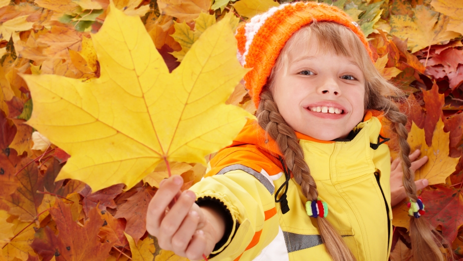 Bygdekvinnelaget vil ha ditt bidrag i fotokonkurransen #høstfarger. Foto: Shutterstock