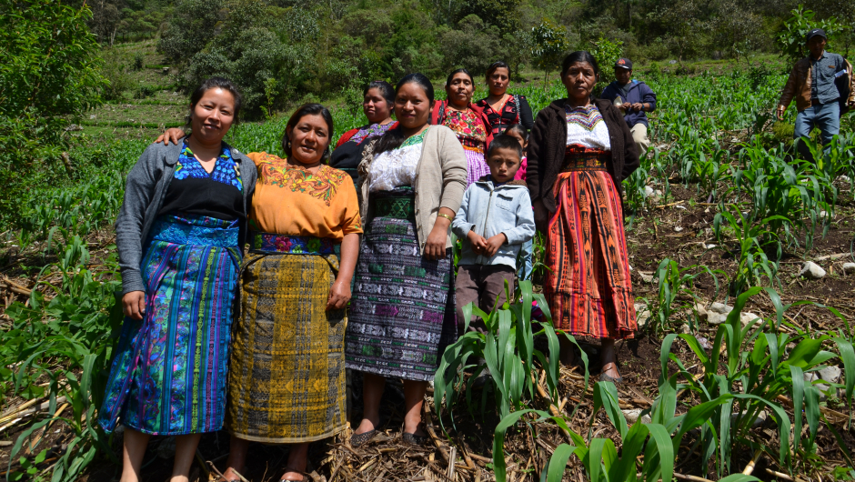 Småbønder i Guatemala kjemper for kaffens fremtid i Guatemala. Foto: Utviklingsfondet.