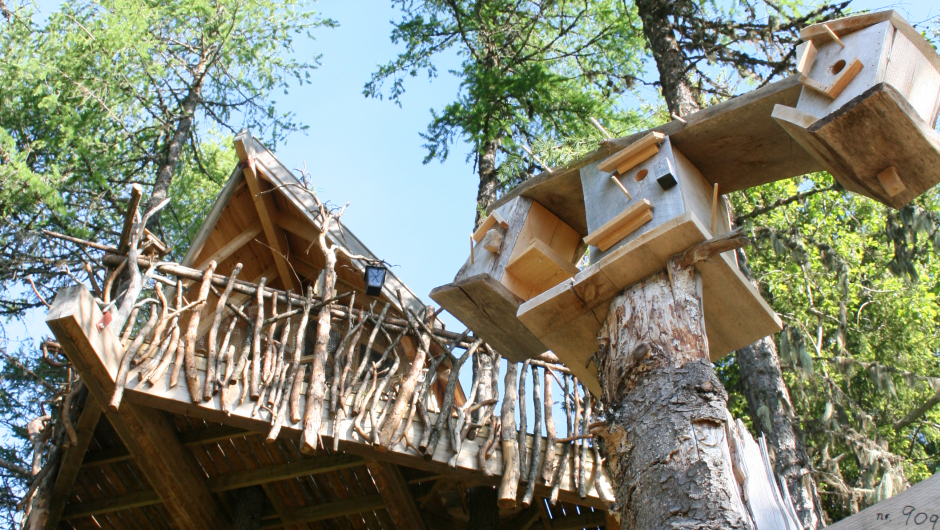 Nå kan du vinne overnatting i en tretopphytte. Foto: tretopphytter.no Nå kan du vinne overnatting i en tretopphytte. Foto: tretopphytter.no