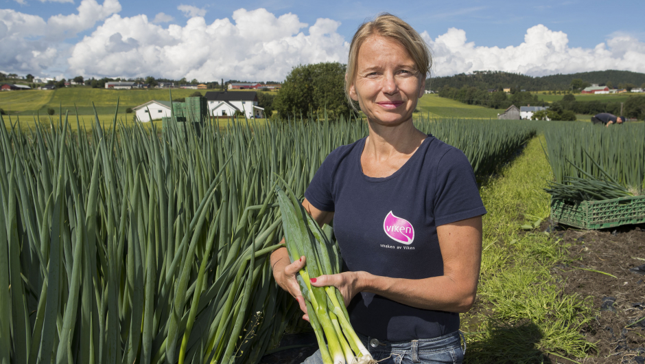 Ragnhild og Jonas Viken er to av dei som dyrkar kortreiste grønsaker og urter til trondheims-folket på den grøderike jorda.