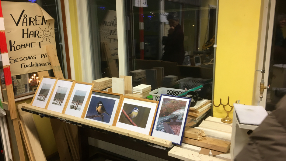 Fine fuglebilder Fine fuglebilder