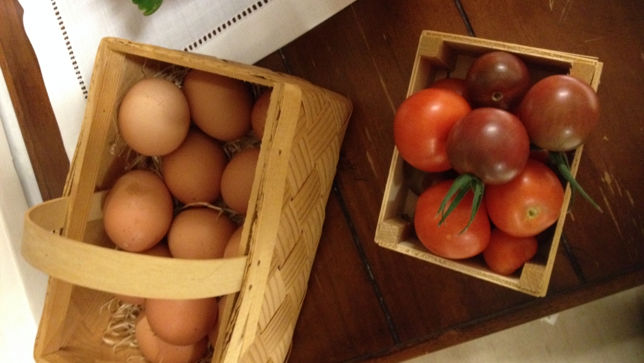 Fine gevinster til utlodning Fine gevinster til utlodning