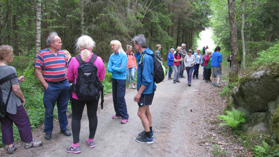 Fint i Hylliskogen Fint i Hylliskogen
