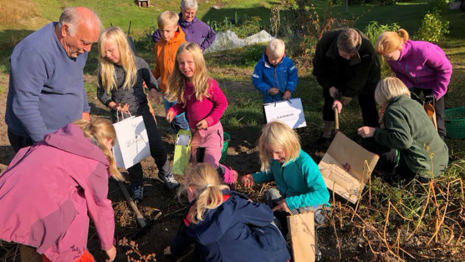 Yrende liv i potetåkeren