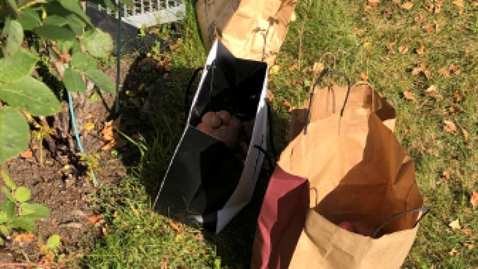 Potetposer Potetposer