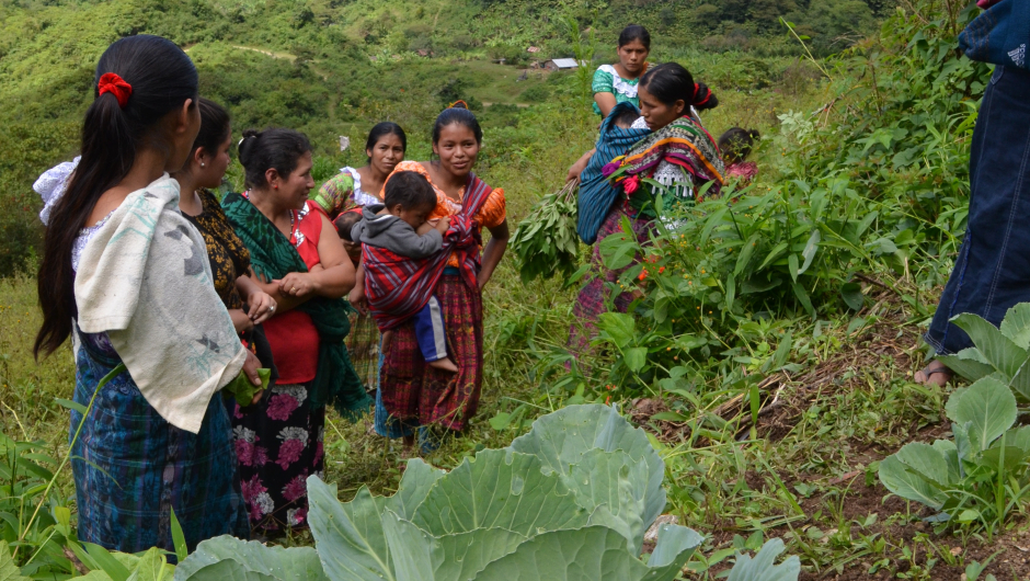 kvinnene i Guatemala kvinnene i Guatemala