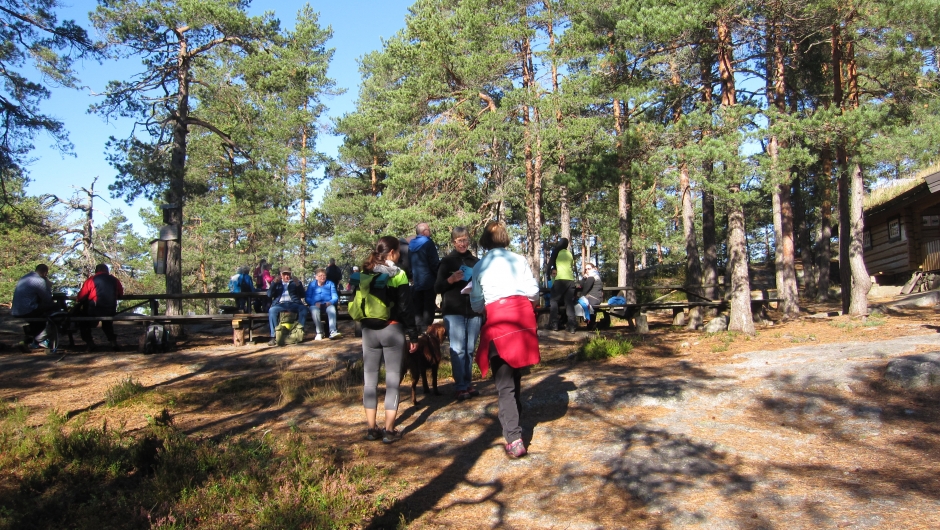 Framme ved Skimtefjell Framme ved Skimtefjell