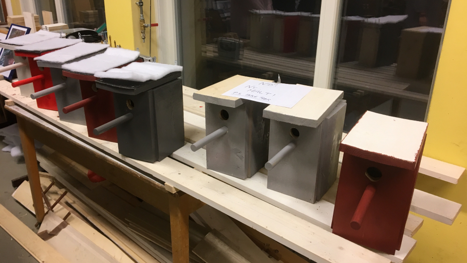 Flotte fuglekasser produsert på ASVO
