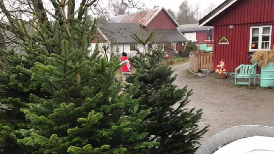 Inngangen til The Funny Farm