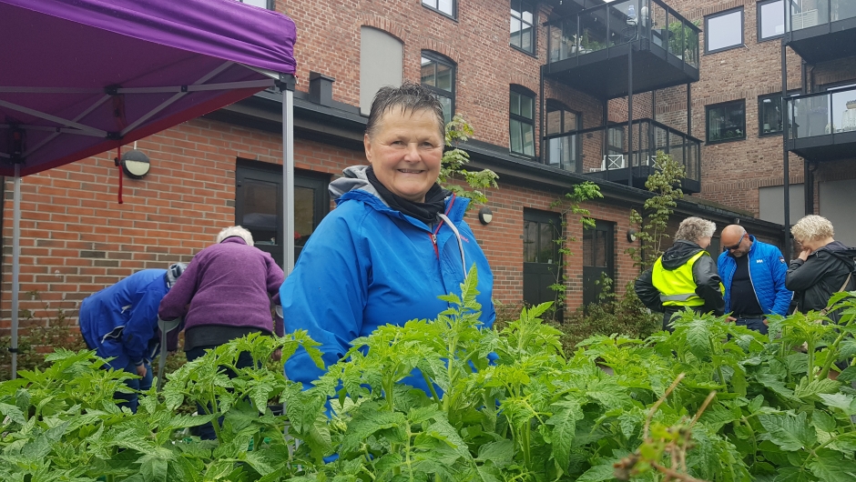 Grøntloppe-Generalen. Foto: Tonje Rundbråten "Grøntloppe-Generalen"