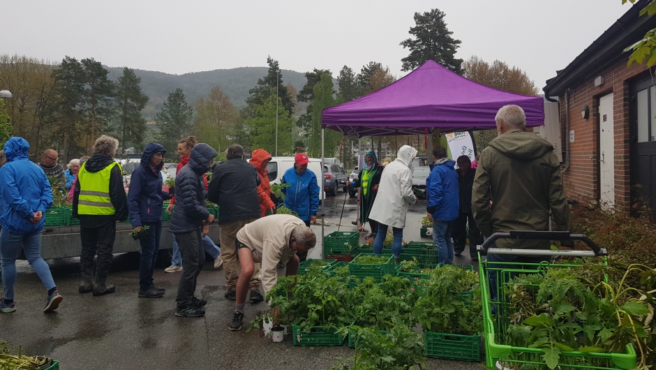 Grøntloppemarked i gråværet. Foto: Tonje Rundbråten Grøntloppemarked i gråværet