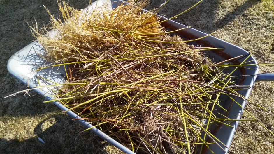 Oppsamlet hageavfall Oppsamlet rusk