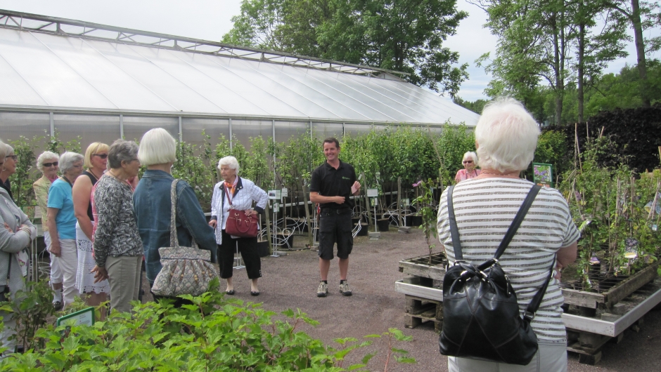 Hageland Rom - gartner Per forteller Hageland Rom - gartner Per forteller