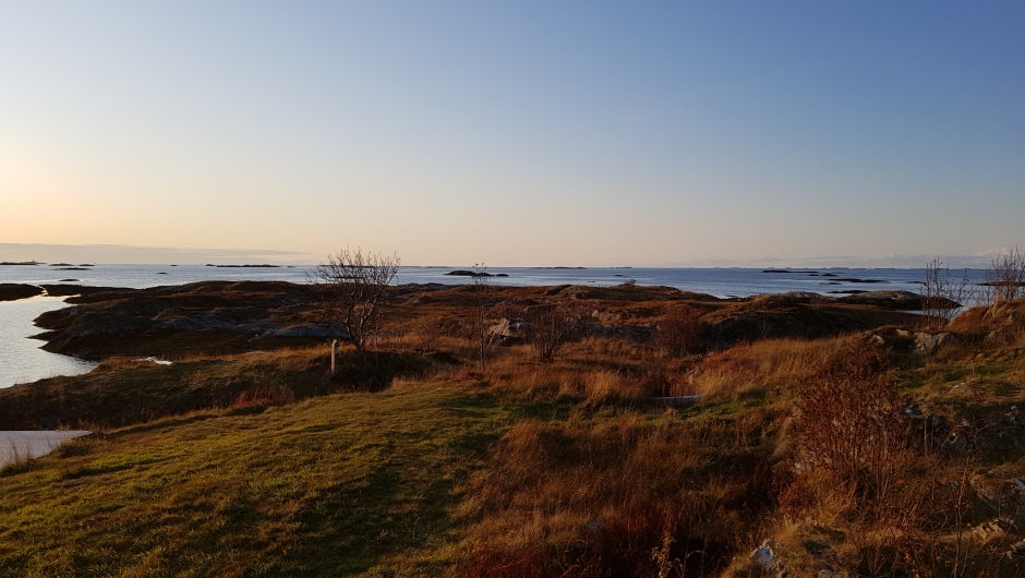 Utsikt fra Håholmen