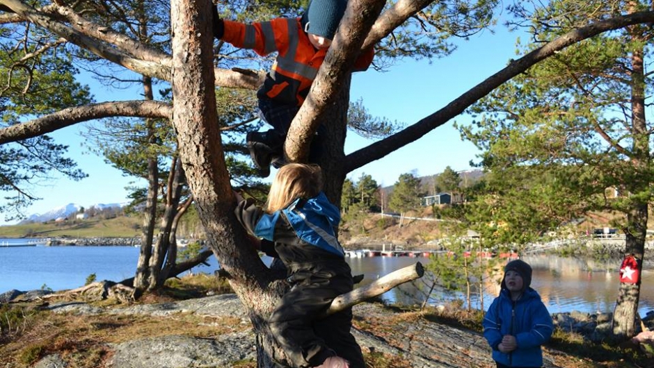 Aktive unger Aktive unger