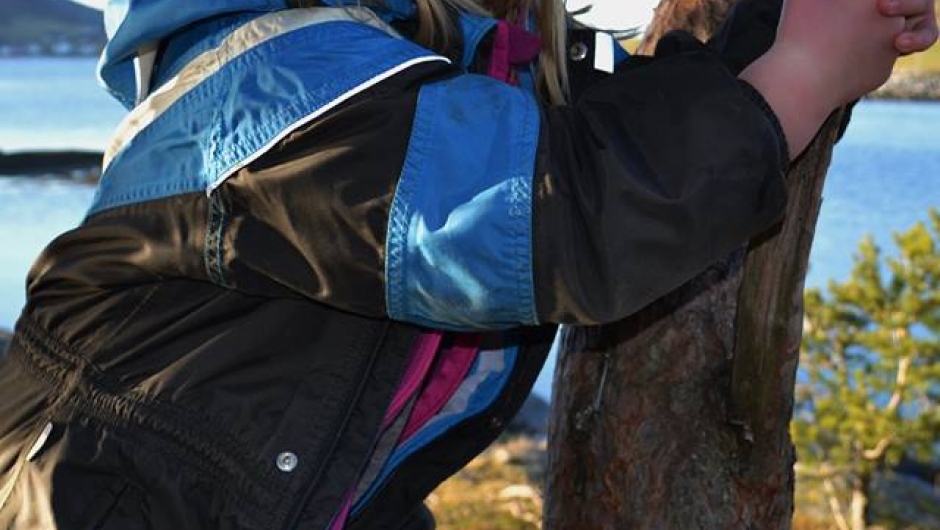 Lita klatremus Lita klatremus