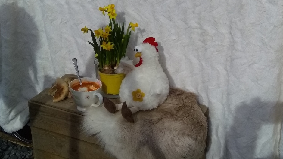 Suppe i påskesol Suppe i påskesol