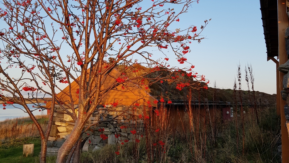 Masse små koselige hus som vi overnattet i