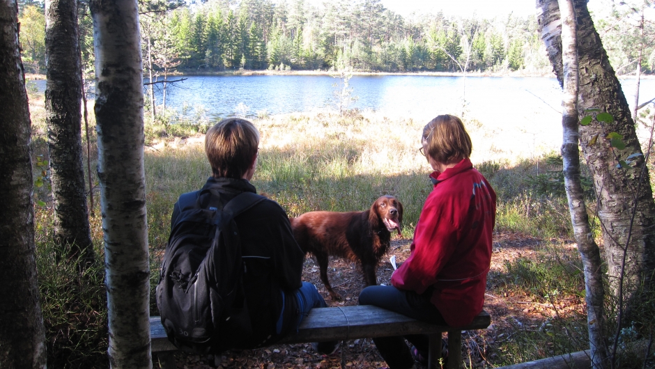 Idyll ved Langtjern Idyll ved Langtjern