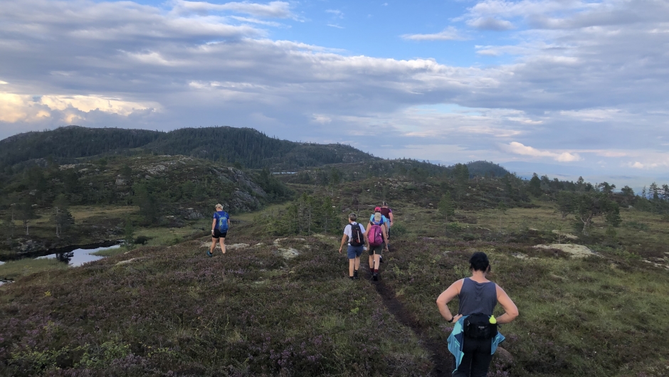Fin sti og stille vatn over Holfellet, her ved Lisbethtjønna