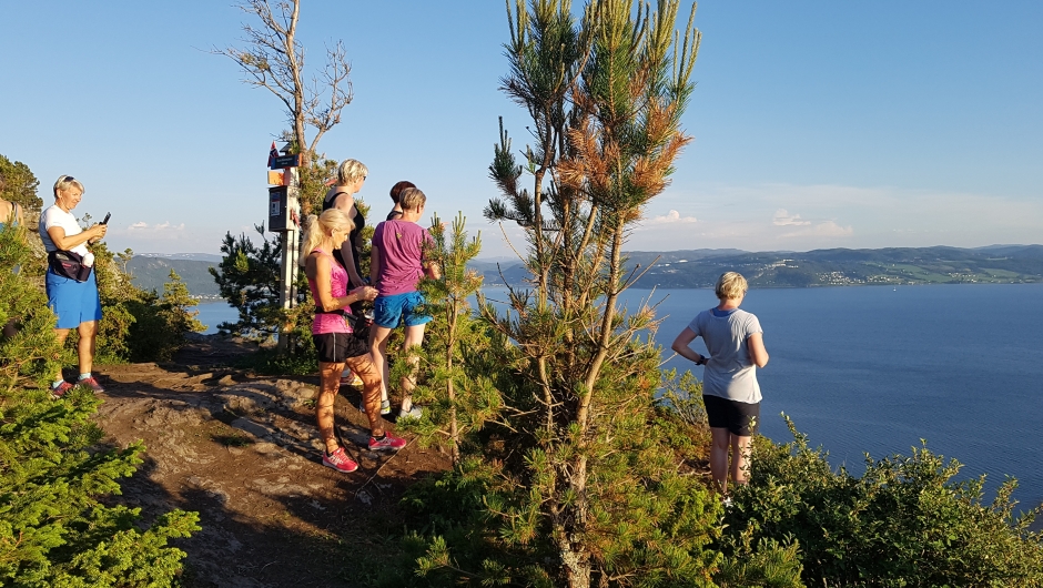 Sykkeltur på Sør-bygda, Skårdshåmmårn