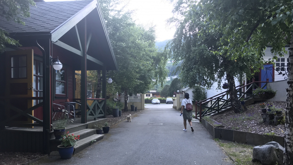 Nydeleg sommarkveld i hagen på Fjellro.