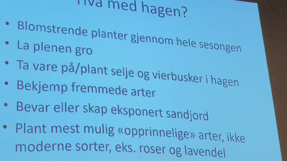 Bilder fra foredraget, tatt av Solveig Kongsrud Bilder fra foredraget, tatt av Solveig Kongsrud