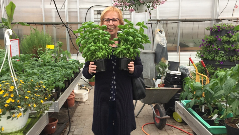Grethe fant seg to flotte basilikum