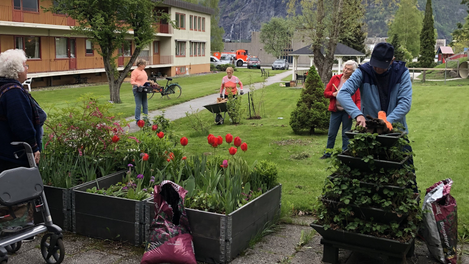 Her blir jordbærpyramiden frisert etter alle kunstens reglar! Blomstra alt! Her blir jordbærpyramiden frisert etter alle kunstens reglar! Blomstra alt!