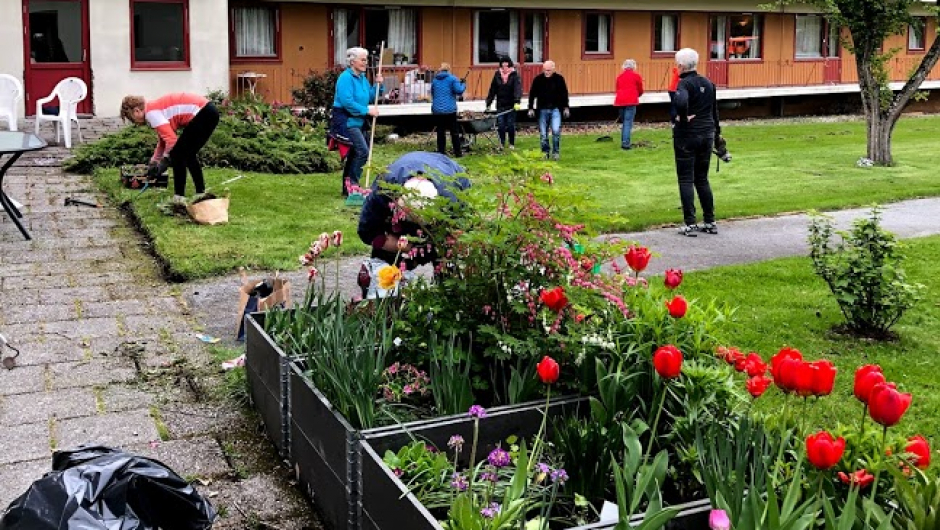 Mykje bøy og tøy for stive ryggar og kne ! Mykje bøy og tøy for stive ryggar og kne !