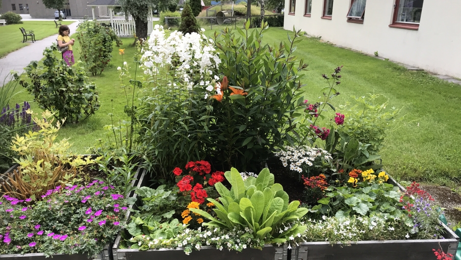 Mange fine fargar. Mange fine fargar.