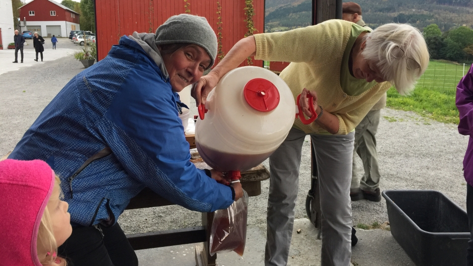 Anne Kristin Løes fyller eplesaften i poser Eplesaften fylles i poser og på flasker