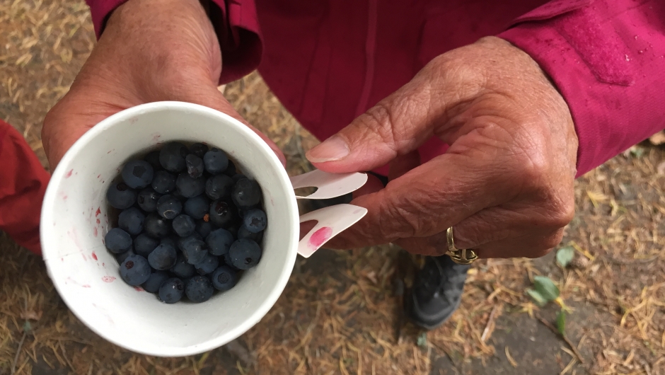 Litt blåbær i en kopp