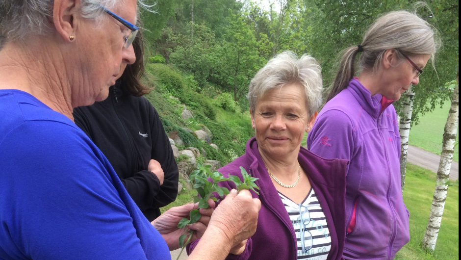 Ville vekster damene på tur