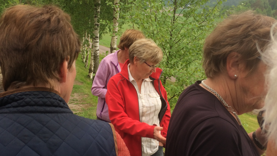 Ville vekster vår veileder