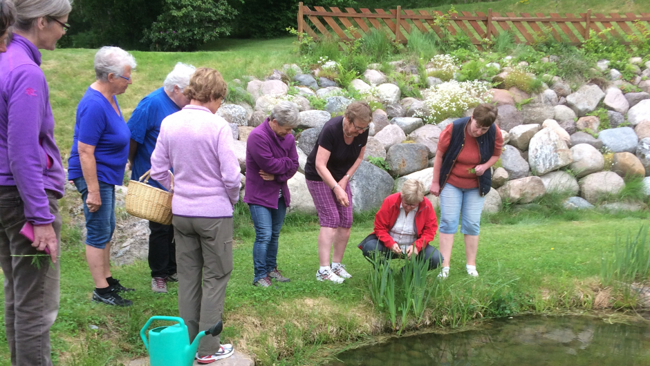 ville vekster undervisning ved dammen