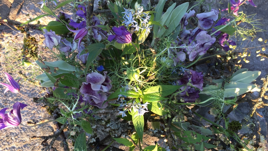 Nydelig bukett laget i et rede av gamle eplegrener