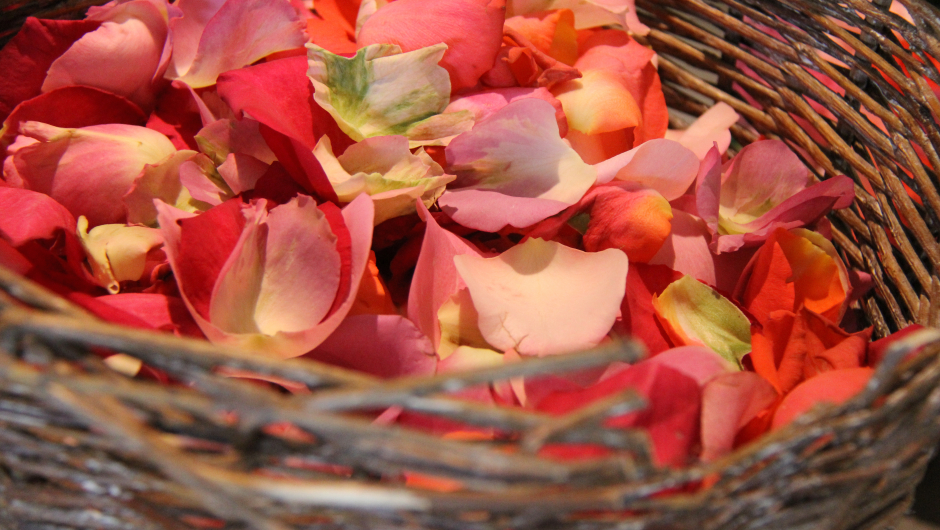 Kurs og temaer innenfor planter, blomster og hobby