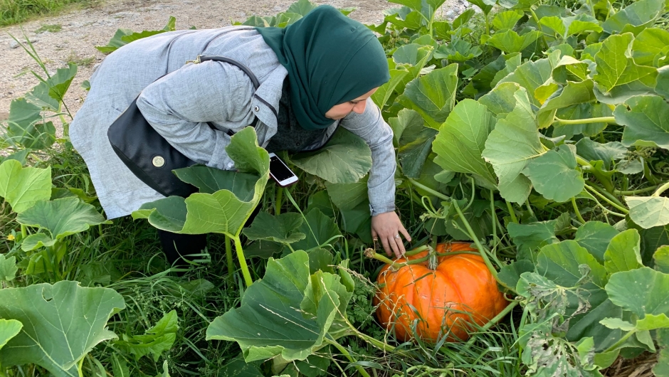 Khawla beundrer gresskarene