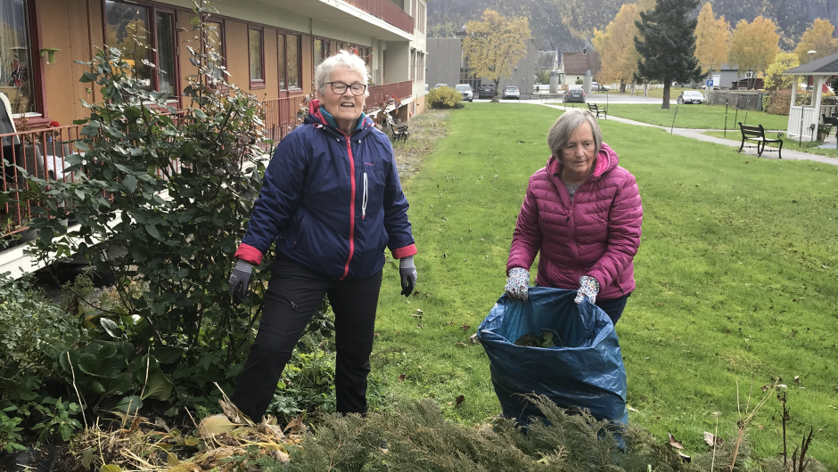 Visne blad og blomster måtte vekk ! Visne blad og blomster måtte vekk !