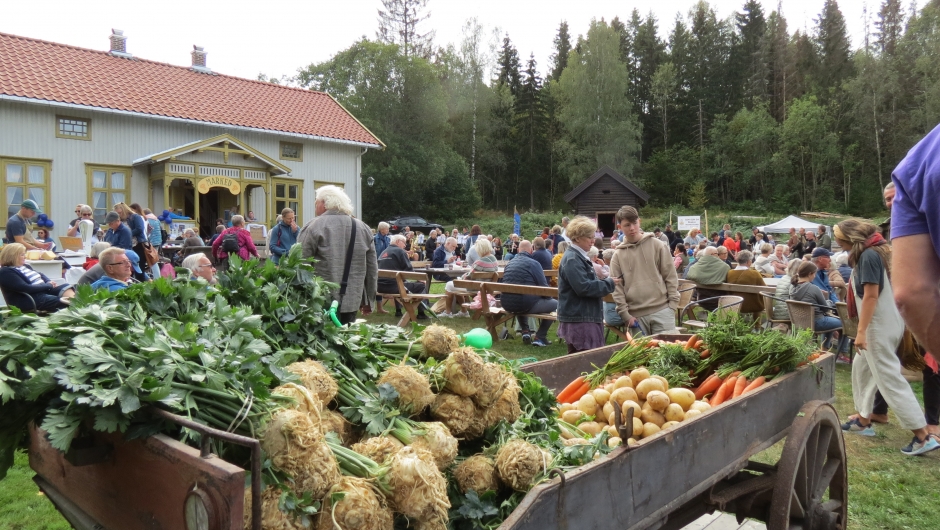 Reidvin-tunet sto for grønnsaksalget Reidvin-tunet sto for grønnsaksalget