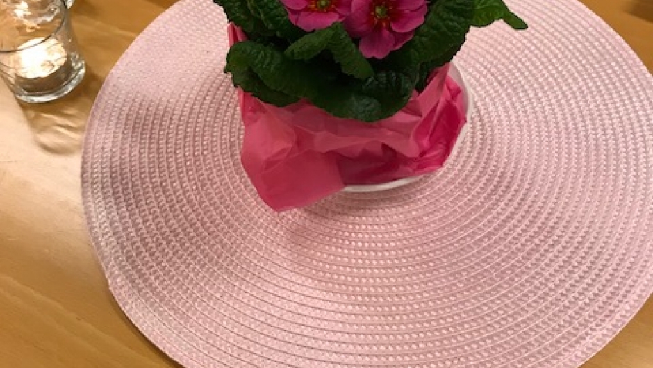 Fargerike primulaer som skulle loddes ut.