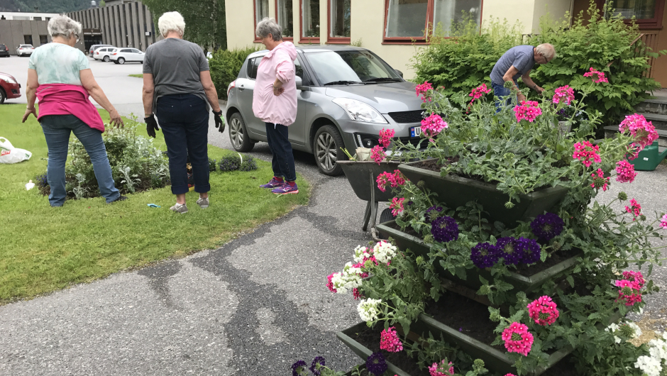 Blomsterpyramide og rosebed. Blomsterpyramide og rosebed.