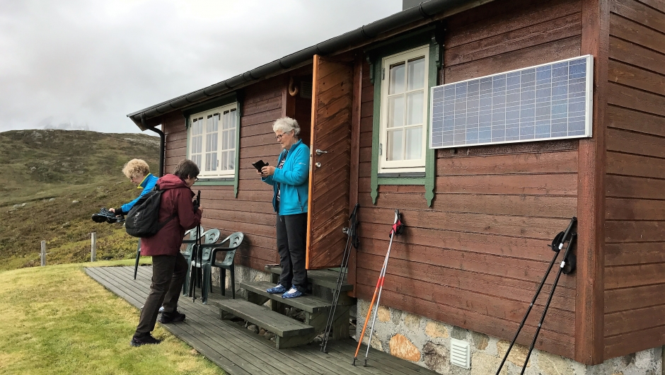 Selet til Nelly. Selet til Nelly.