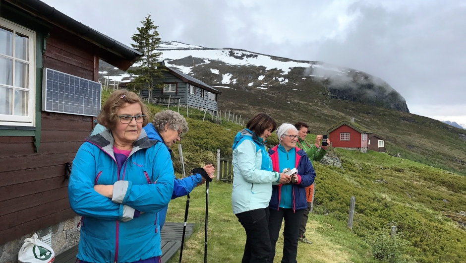 Utsikt mot Mefjellet. Utsikt mot Mefjellet.