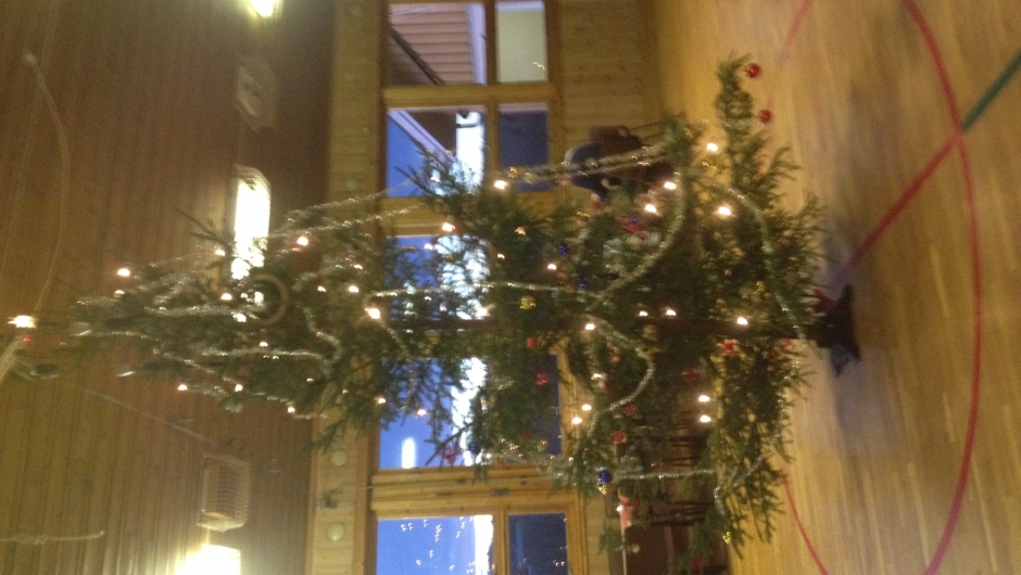 Nypyntet juletre fra Olav Sæthre