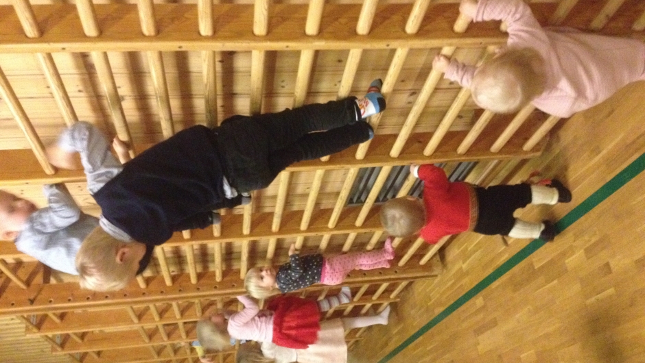 Å klatre i ribbene er populært