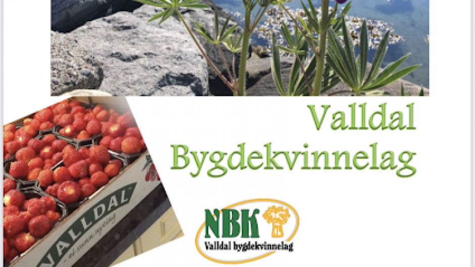 Valldal Bygdekvinnelag Valldal Bygdekvinnelag