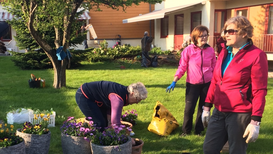 Planting i nye, fine krukker. Planting i nye, fine krukker.